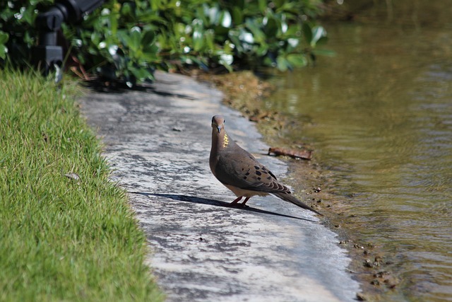 罗尔费斯：药厂解雇滕哈格不因为成绩，是因看不到成功的信念